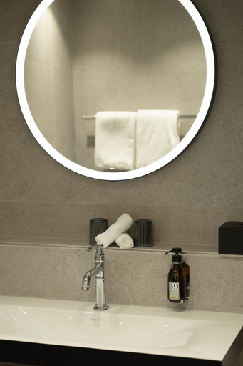 Bathroom 4, Des Alpes, Luzern