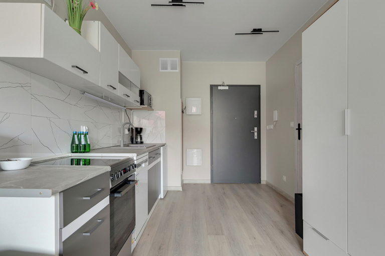 Private kitchen 4, Mostek 2101 PinkGray by Grand Apartments, Gdańsk City