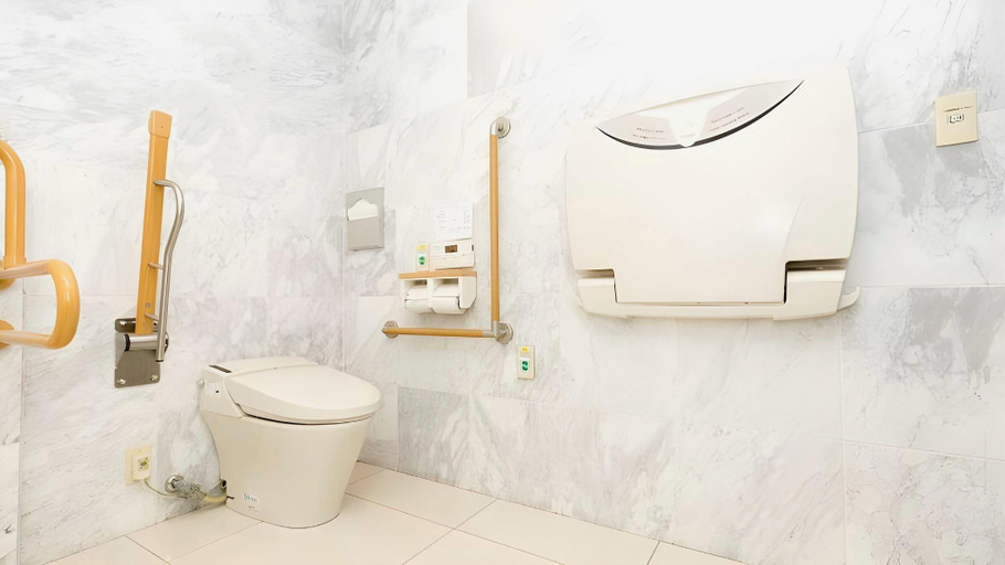 Bathroom 3, Toyoko Inn Tsuruga Ekimae, Tsuruga
