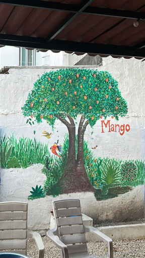 Food & Drinks 4, THE MANGO TREE HOSTEL 4:20, Cartagena de Indias