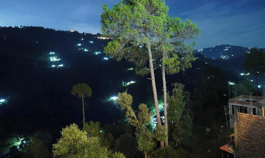 Others 5, Oak Mounts, Nainital