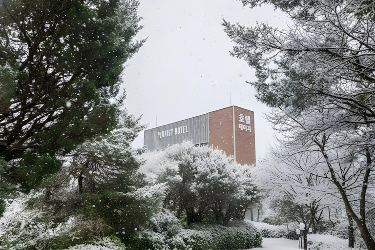Exterior & Views, Daisy Hotel Yangpyeong, Yangpyeong