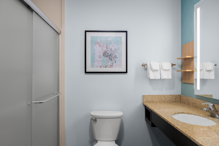 Bathroom 4, Hilton Garden Inn Cincinnati/West Chester, Butler