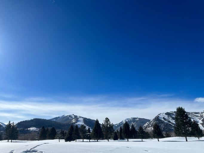 Interior 5, Sierra Chalet - Home With Private Deck and Views, Pitkin