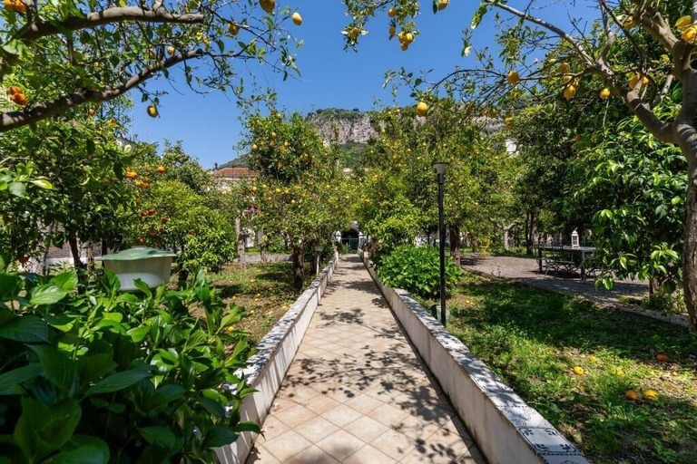 Property grounds 4, Meta CC Palace, Napoli