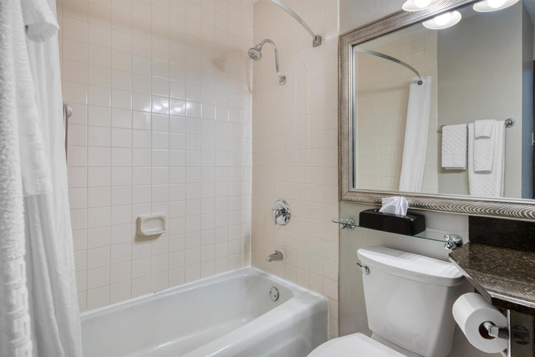 Bathroom 4, Best Western Tomah Hotel, Monroe