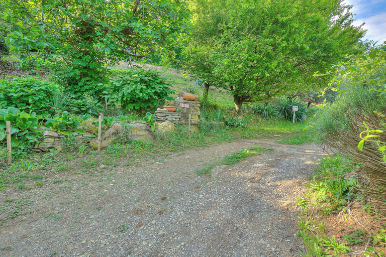 Property grounds 3, La Capannina Lake & Mountain Views, Lugano