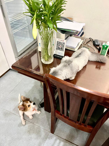 Public Area 3, J'adore Apartment, Ba Đình