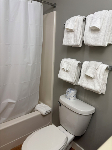 Bathroom 5, North Star Lodge and Resort, Rutland