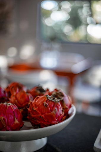 Food & Drinks 5, Aloe Arbour Farm Stay, Ehlanzeni