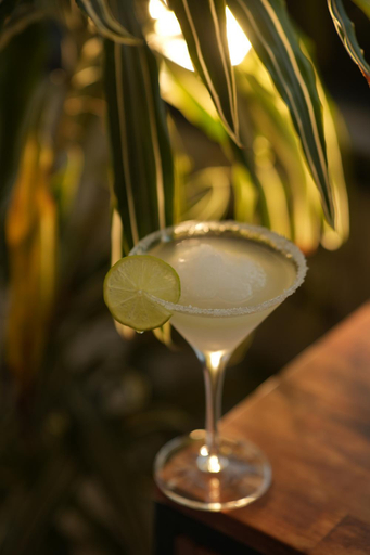 Food & Drinks 5, V&V Hotel