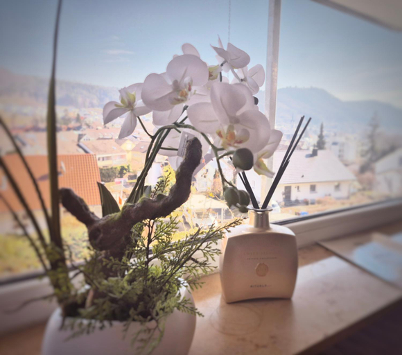 Others 5, Ferienwohnung Seeliebe Bodensee mit wunderschoner Seesicht & Terrasse, Konstanz