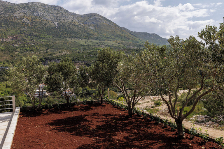 Others 5, Apartments Olea, Konavle