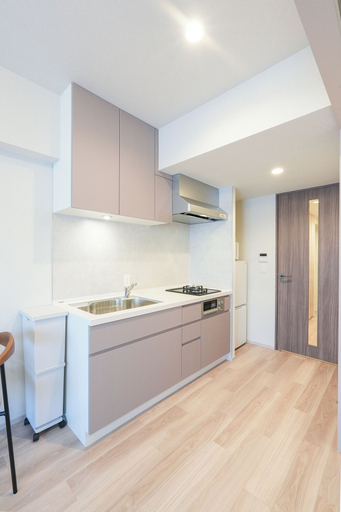 Private kitchen 5, Dash Living Asakusa South