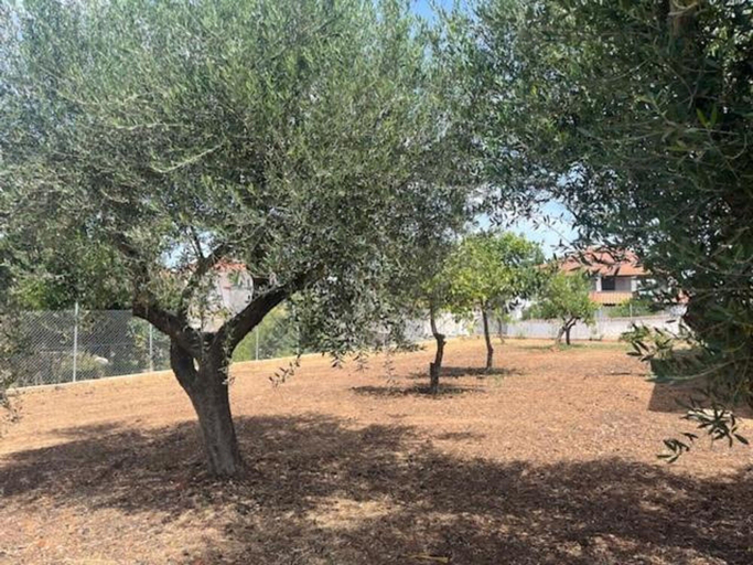 Room 4, Casa Plati 2 - Peaceful Garden Stay With Pool, Peloponnese