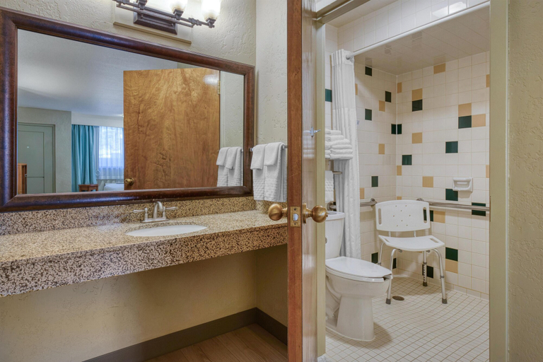 Bathroom 4, Best Western Foothills Inn, Elmore