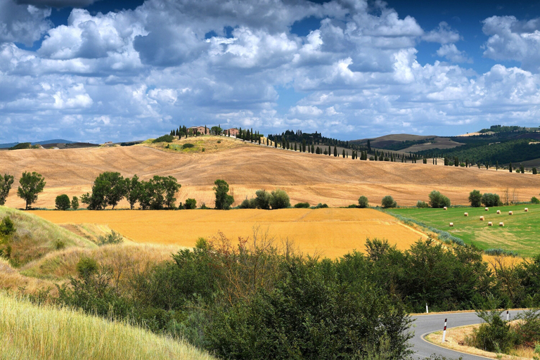Others 5, Casa Guna, Siena