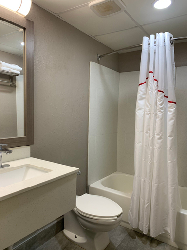 Bathroom 4, Red Roof Inn Niagara Falls, Niagara