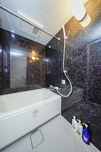 Bathroom 3, Gran Duo Shirokane, Minato