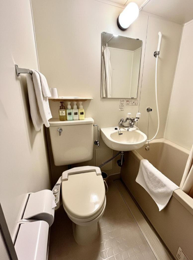 Bathroom 5, Ueda Plaza Hotel, Ueda