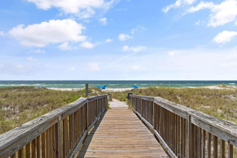 Beach, Needle Rush Point E13, Escambia