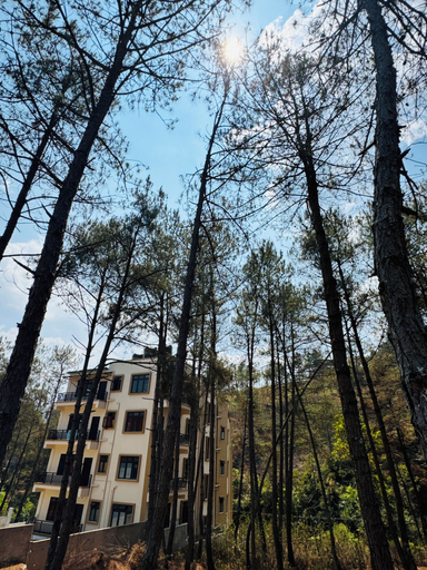 Others 5, XTSY Travellers Hostel, East Khasi Hills