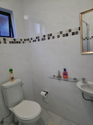 Bathroom 3, Rest & Digest, Serowe