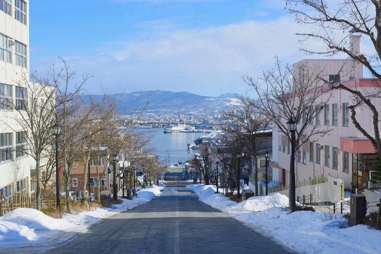 Others 4, Hotel Resol Hakodate, Hakodate