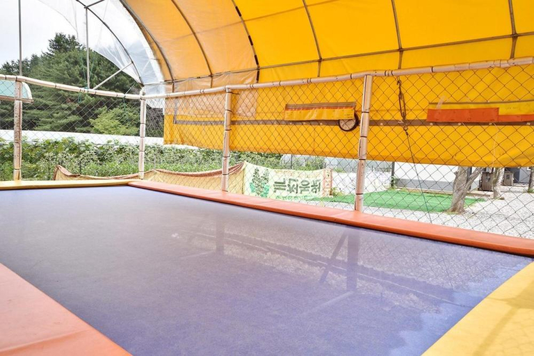 Sport & Beauty 2, Gangneung Steyrs, Gangneung