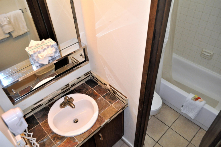 Bathroom 4, Snowflake 1 Bed plus Den 2 Bath, Summit