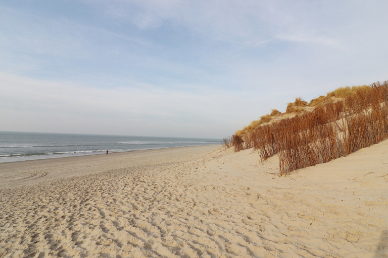 View from property 2, Comfortable Family Chalet in Hollum, Ameland