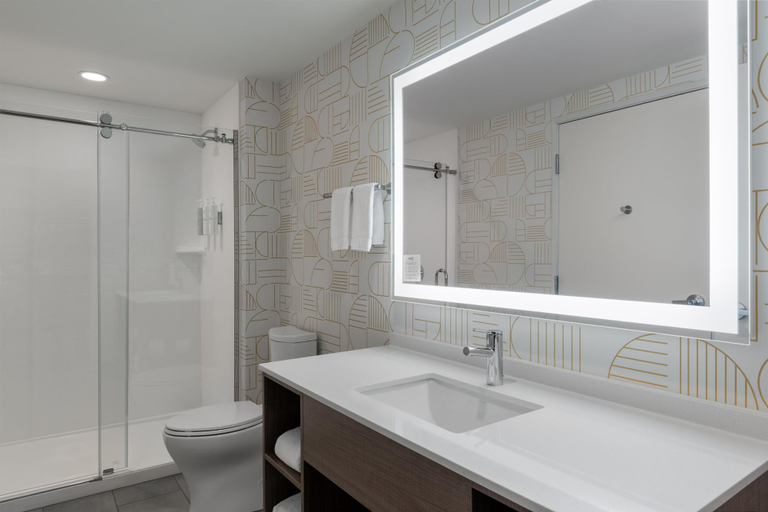 Bathroom 4, Home2 Suites By Hilton Ann Arbor South, Washtenaw