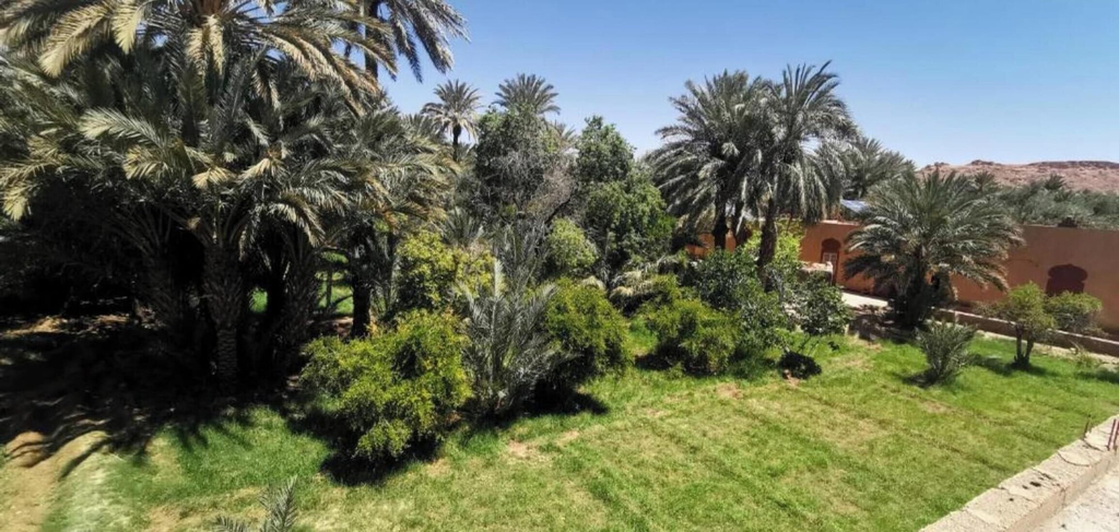 Property grounds, Gite DAR UL, Errachidia