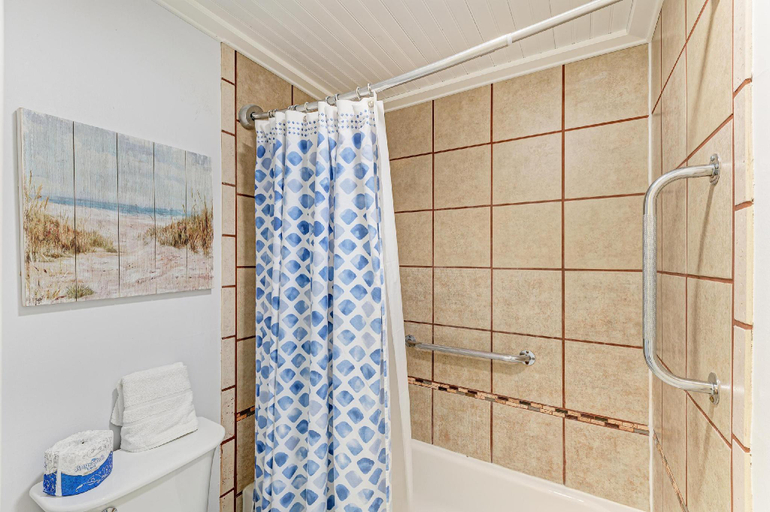 Bathroom 3, Anna Maria Island Beach Waves, Manatee