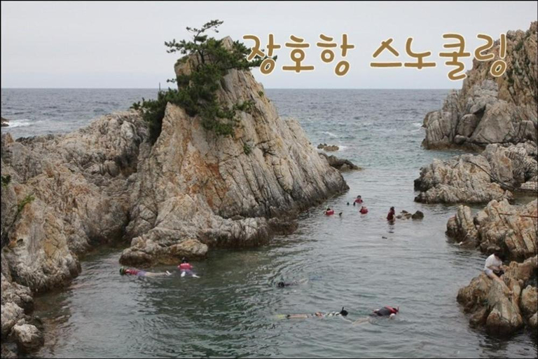 Others 5, Pension Ora, Samcheok