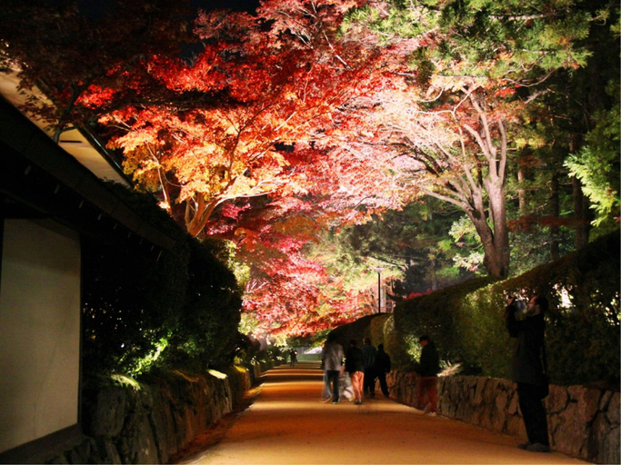 Exterior & Views 1, Saimonin, Kōya