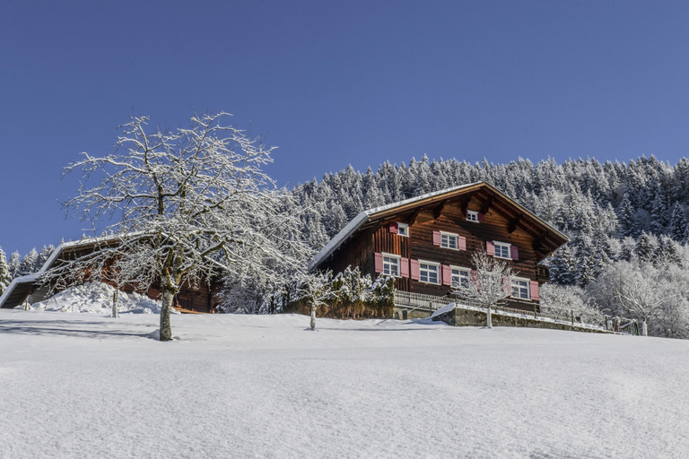 Room 2, Vintage Mountain House With Sauna, Bludenz