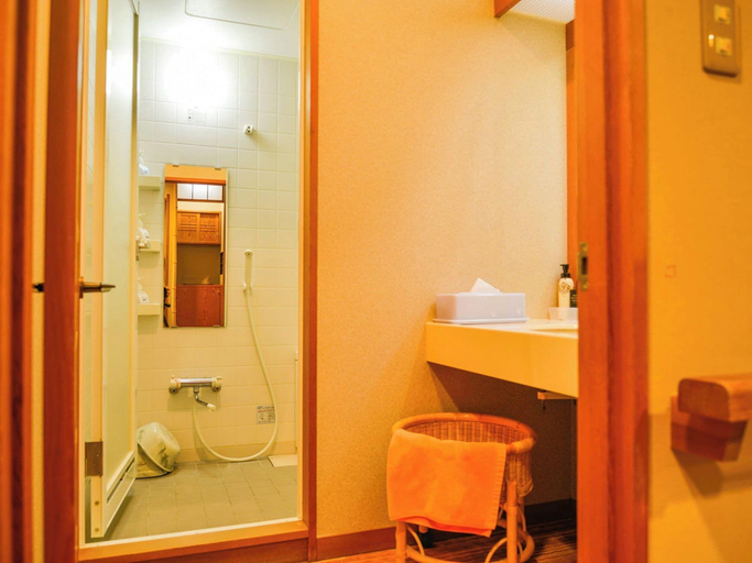 Bathroom 4, Okutenryu Fudouonsen Sawaya, Iida