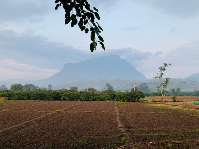 Others 5, KraThom Doi Luang, Chiang Dao