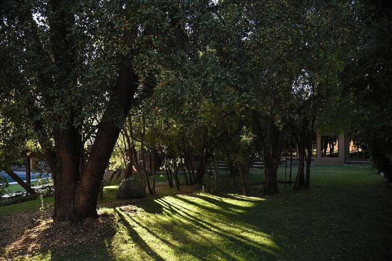 Property grounds 4, Casa Bosque Lodge, Cordillera