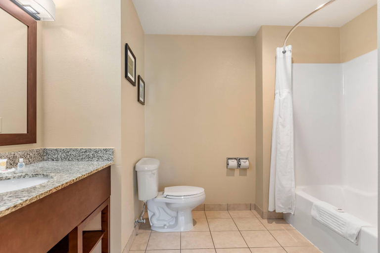 Bathroom 4, Comfort Suites Grand Rapids North, Kent