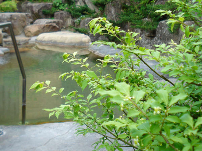 Sport & Beauty 4, Ryokan Kutsuroginoya Yuu, Takayama