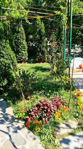 Others 4, Cozy Corner, Borjomi