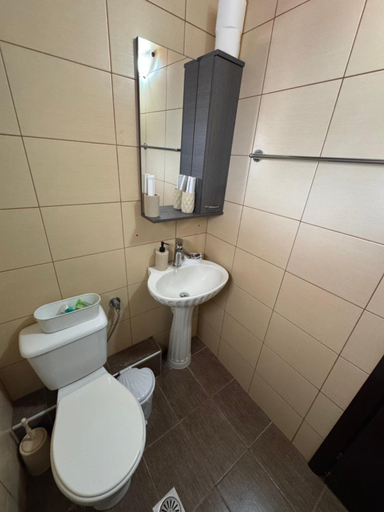 Bathroom 2, Dora sarti, Central Macedonia