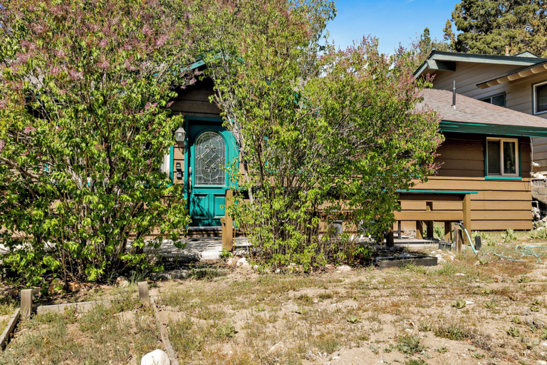 Others 5, Shasta Mountain Cabin#1916, San Bernardino