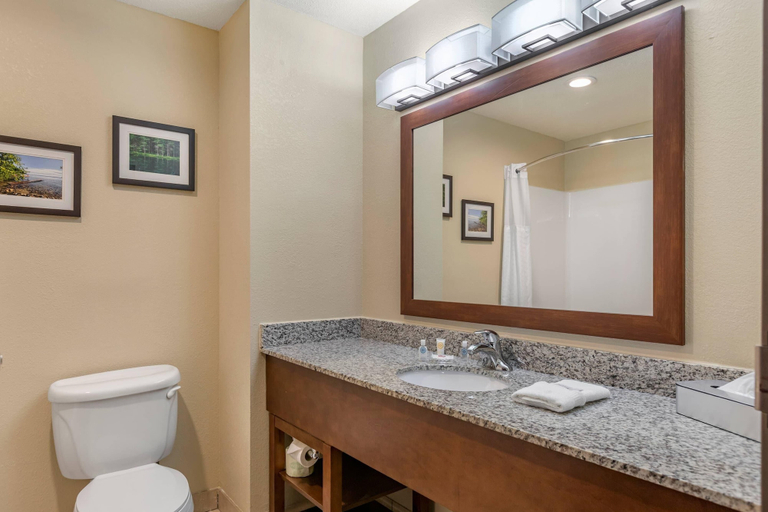 Bathroom 4, Comfort Suites Grand Rapids North, Kent