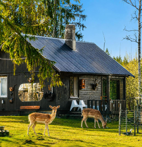 Others 5, Lake Deer Park Retreat with Hot Tub & Sauna, Talsi