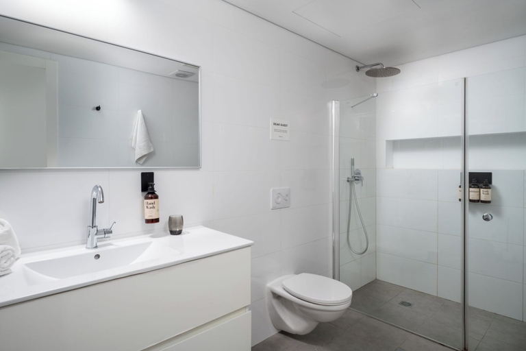 Bathroom 5, master Shenkin