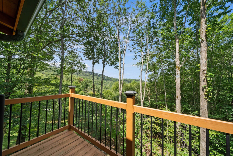 Interior 5, The Mountainbriar Lodge, Watauga