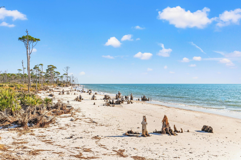 Beach, Beach House - Coastal Cabana, Gulf